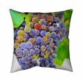 Begin Home Decor 20 x 20 in. Bunch of Grapes-Double Sided Print Indoor Pillow 5541-2020-GA69
